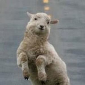 Meet your Posher, Kerry